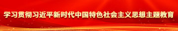 大黑吊插女人学习贯彻习近平新时代中国特色社会主义思想主题教育